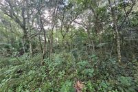 Property for sale in Hillsborough County, Florida