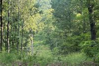 Property for sale in Madison County, Arkansas