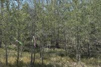 Property for sale in Wilson County, Texas