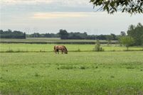 Property for sale in Cass County, Missouri