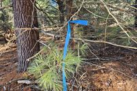 Property for sale in Lake County, Michigan