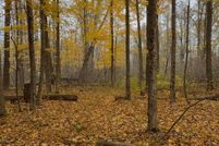 Property for sale in Van Buren County, Michigan