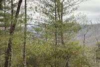 Property for sale in Henderson County, North Carolina