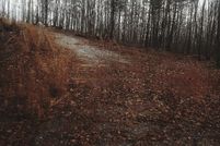 Undeveloped Land for sale in Prince Edward County, Virginia