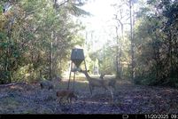 Property for sale in Okaloosa County, Florida