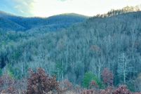 Property for sale in Sevier County, Tennessee