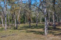Undeveloped Land for sale in Fayette County, Texas