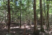 Property for sale in Lexington County, South Carolina