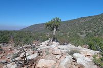 Property for sale in Navajo County, Arizona