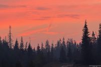 Property for sale in Clearwater County, Idaho