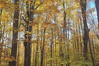 Property for sale in Antrim County, Michigan