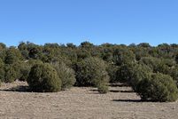 Property for sale in Apache County, Arizona