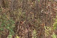 Property for sale in Mecklenburg County, North Carolina