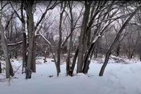 Property for sale in Will County, Illinois