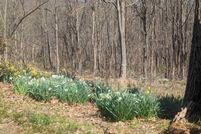 Property for sale in Albemarle County, Virginia