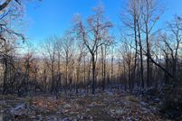 Property for sale in Morgan County, West Virginia