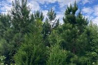 Property for sale in Westmoreland County, Virginia