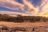 Undeveloped Land for sale in Apache County, Arizona