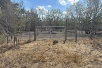 Undeveloped Land for sale in Wilson County, Texas