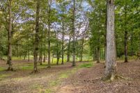Undeveloped Land for sale in Walker County, Alabama