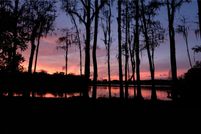 Property for sale in Hillsborough County, Florida