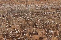 Property for sale in Scurry County, Texas