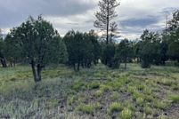 Property for sale in Navajo County, Arizona