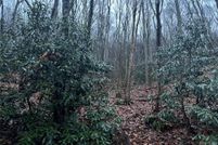 Property for sale in Buncombe County, North Carolina