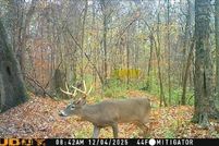 Property for sale in Yazoo County, Mississippi