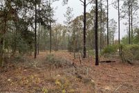 Undeveloped Land for sale in Putnam County, Florida