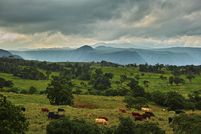 Property for sale in Hawaii County, Hawaii