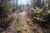 Property for sale in Forest County, Wisconsin