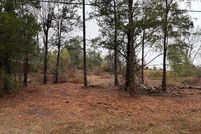 Undeveloped Land for sale in Jackson County, Florida