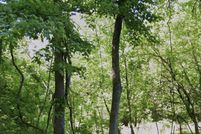 Residential Property for sale in Prince Georges County, Maryland