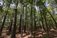 Property for sale in Neshoba County, Mississippi