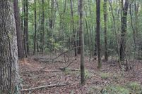 Property for sale in Jasper County, Mississippi