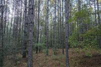 Property for sale in Smith County, Mississippi