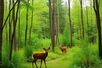 Property for sale in Walton County, Florida