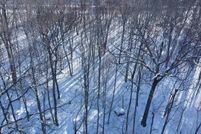 Property for sale in Penobscot County, Maine