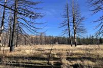 Property for sale in Plumas County, California