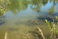 Property for sale in Montgomery County, Alabama