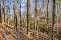 Undeveloped Land for sale in Henderson County, North Carolina