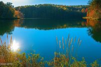 Property for sale in Hardeman County, Tennessee