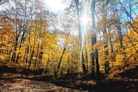 Property for sale in Jackson County, Ohio