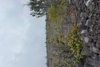 Property for sale in Hawaii County, Hawaii