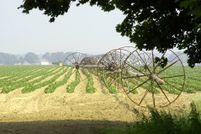 Property for sale in Suffolk County, New York