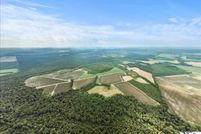 Property for sale in Marion County, South Carolina