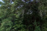 Property for sale in Citrus County, Florida