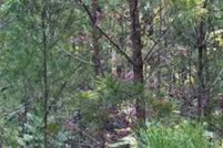 Property for sale in Paulding County, Georgia