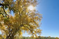 Farm Property for sale in San Juan County, New Mexico